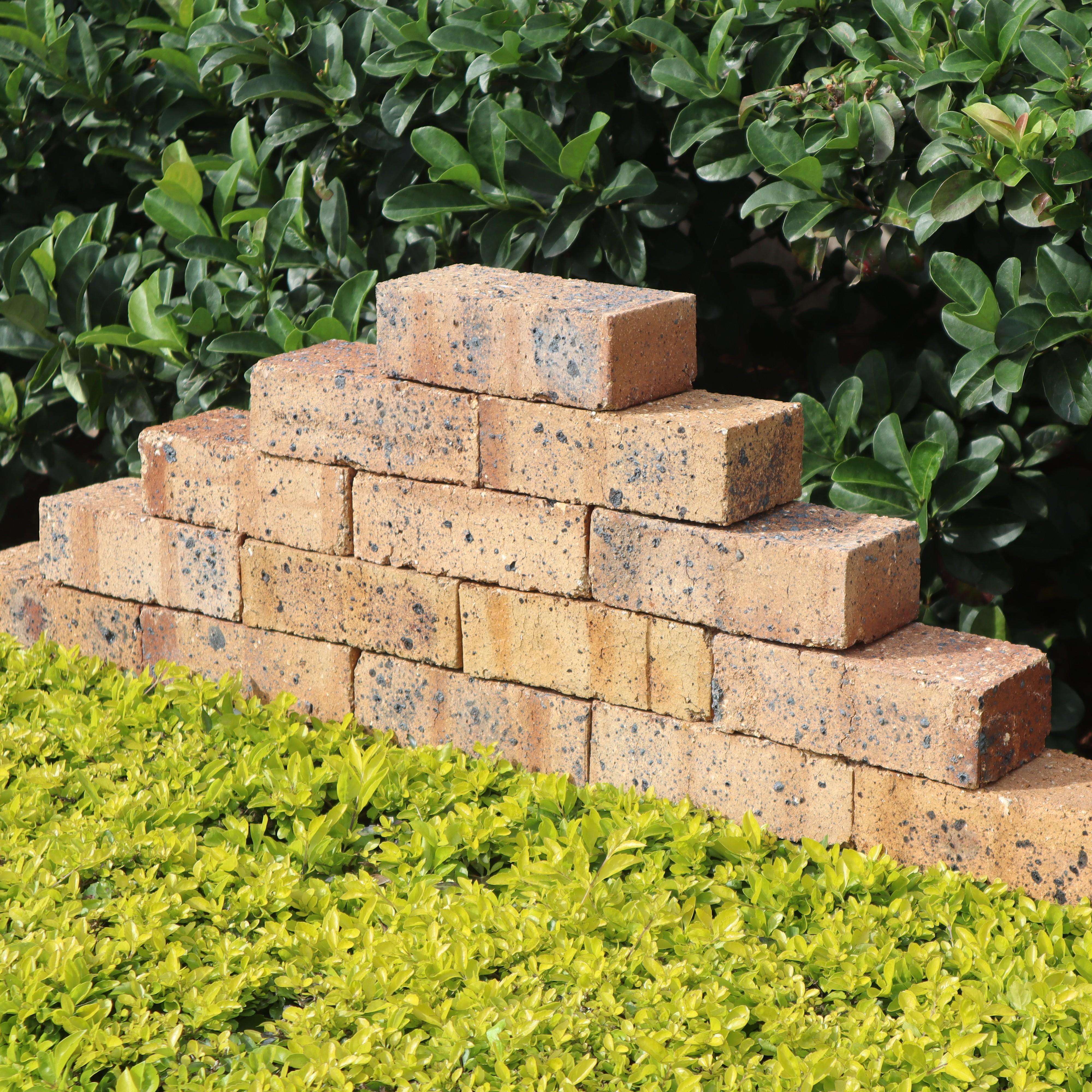 nova-star-face-brick