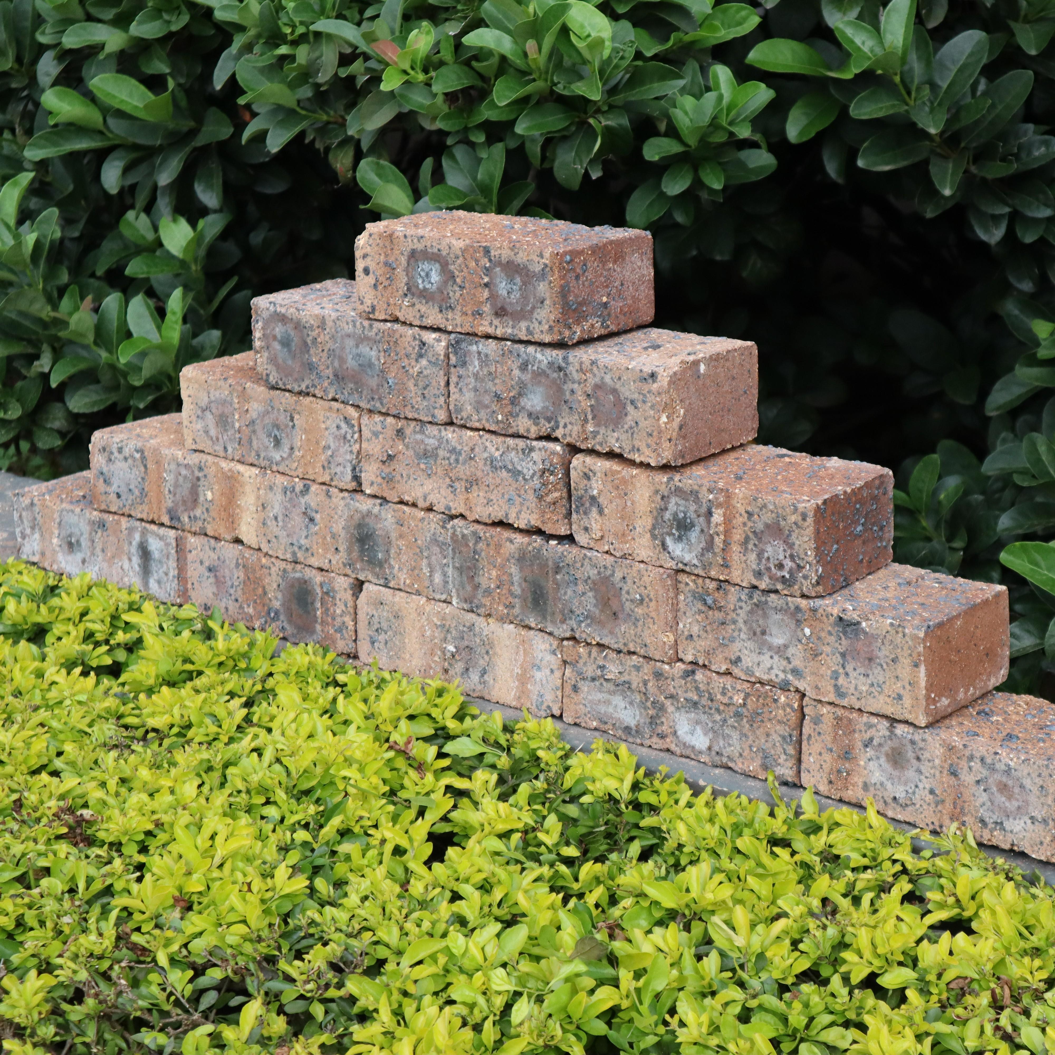 rainbow-blue-face-brick