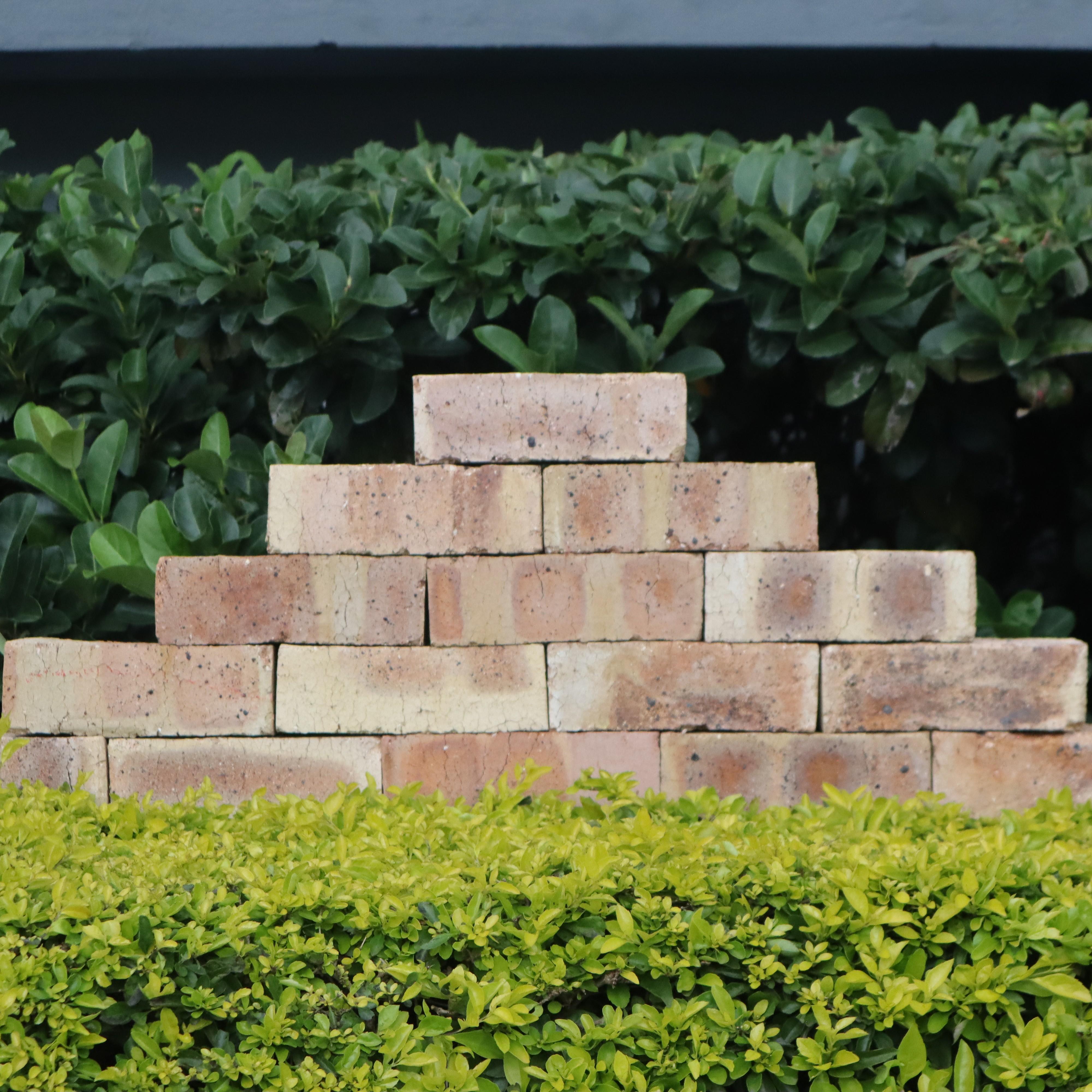 rainbow-red-face-brick