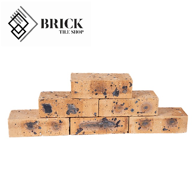 Dapple Dark Face Brick