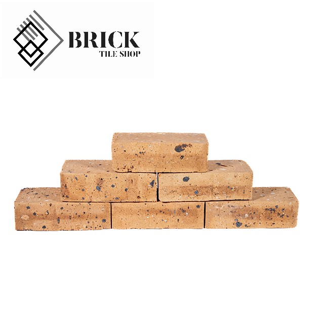 Golden Travertine Face Brick