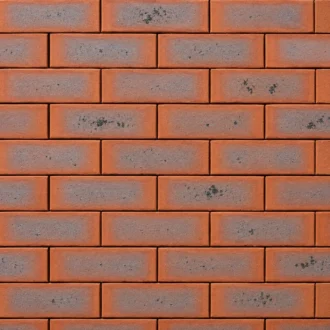 Capricorn Satin Variation Face Bricks - FBS