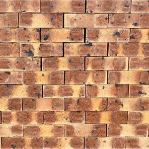 White River Satin Face Brick - FBS